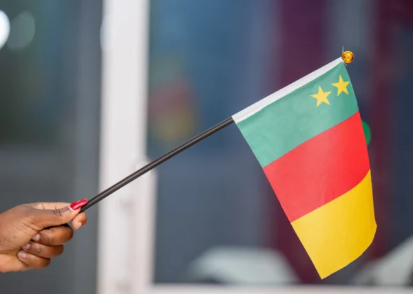 Hand Held Flags Portable Flag Units Rallies Events Nairobi | Call / WhatsApp 0119383838 | Credible Point