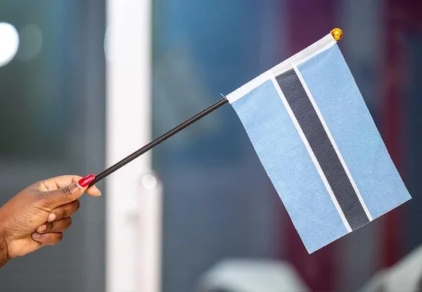 Hand Held Flags Portable Flag Units Rallies Events Nairobi | Call / WhatsApp 0119383838 | Credible Point