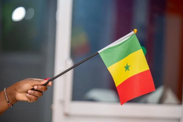 Hand Held Flags Portable Flag Units Rallies Events Nairobi | Call / WhatsApp 0119383838 | Credible Point
