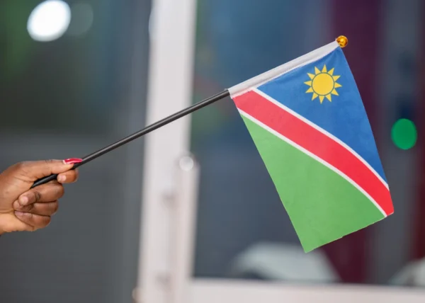 Hand Held Flags Portable Flag Units Rallies Events Nairobi | Call / WhatsApp 0119383838 | Credible Point
