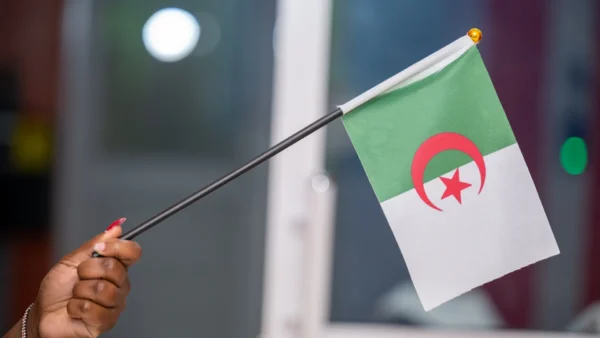Hand Held Flags Portable Flag Units Rallies Events Nairobi | Call / WhatsApp 0119383838 | Credible Point