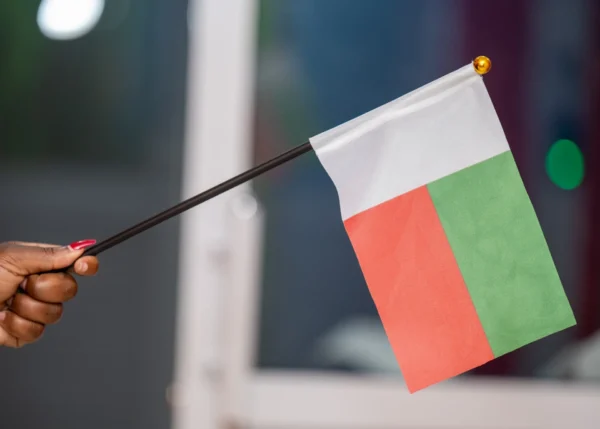 Hand Held Flags Portable Flag Units Rallies Events Nairobi | Call / WhatsApp 0119383838 | Credible Point