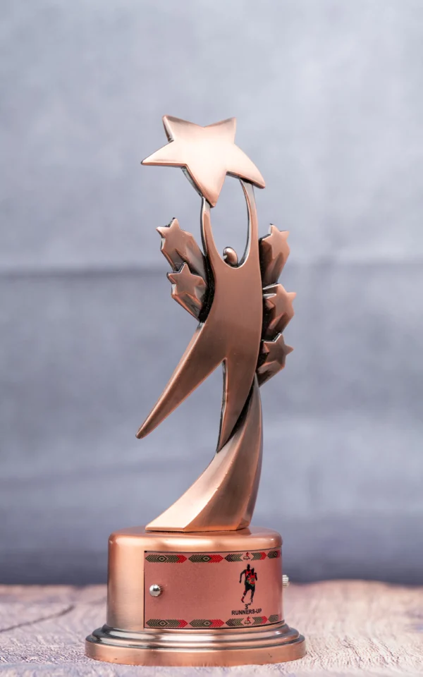Aluminium Trophy Awards 26cm Gold Silver Bronze Nairobi Call WhatsApp 0119383838 Credible Point