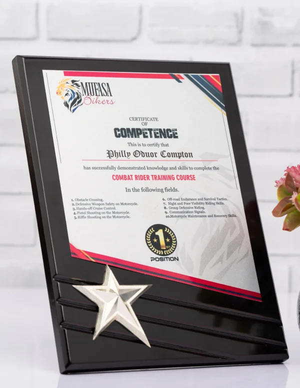 Black Wooden Star Awards Gold Silver Premium Polish Nairobi | Call / WhatsApp 0119383838 | Credible Point