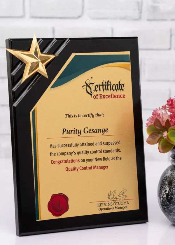 Black Wooden Star Awards Gold Silver Premium Polish Nairobi | Call / WhatsApp 0119383838 | Credible Point