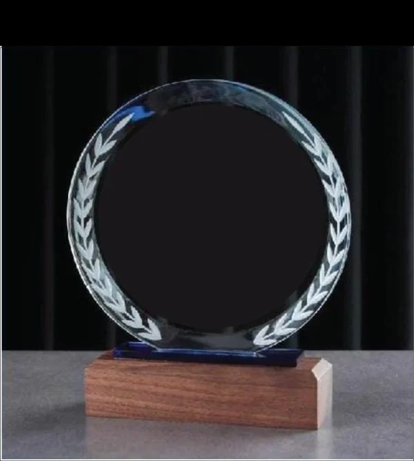 Hybrid Glass Wooden Base Awards