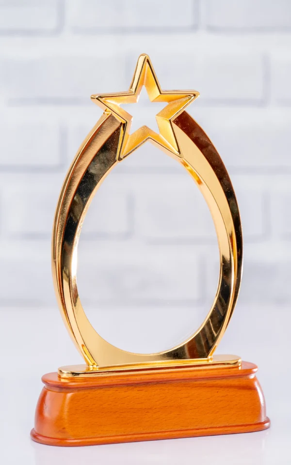 New Oval Executive Awards Gold Star Wood Base Nairobi | Call / WhatsApp 0119383838 | Credible Point