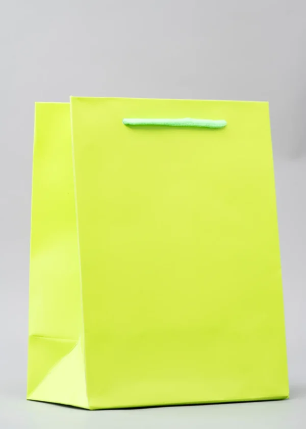 Plain Gift Bags – Premium Packaging Solutions Nairobi KSh 60 – KSh 140 Credible Point