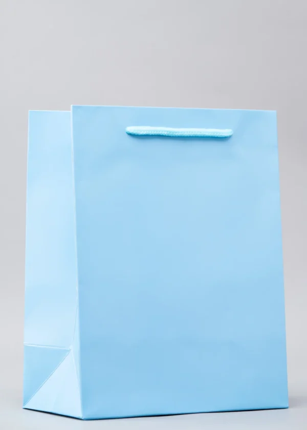Plain Gift Bags – Premium Packaging Solutions Nairobi KSh 60 – KSh 140 Credible Point