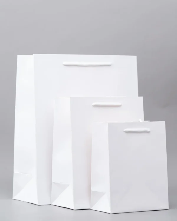 Plain Gift Bags – Premium Packaging Solutions Nairobi KSh 60 – KSh 140 Credible Point