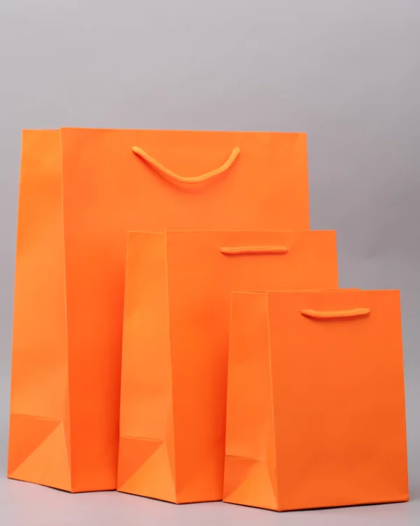 Plain Gift Bags – Premium Packaging Solutions Nairobi KSh 60 – KSh 140 Credible Point