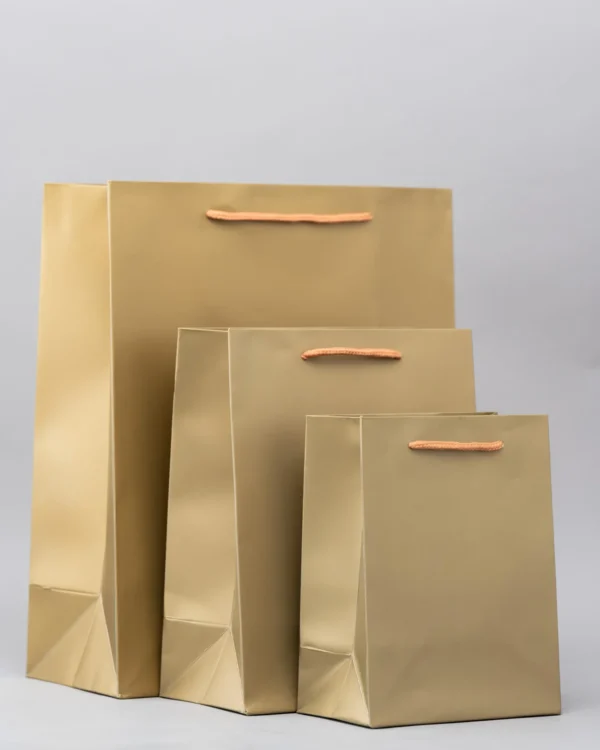 Plain Gift Bags – Premium Packaging Solutions Nairobi KSh 60 – KSh 140 Credible Point