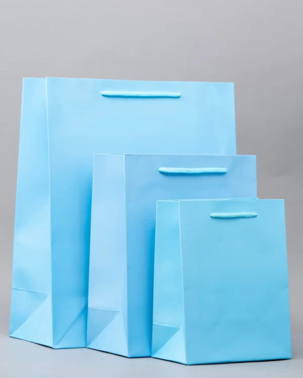 Plain Gift Bags – Premium Packaging Solutions Nairobi KSh 60 – KSh 140 Credible Point