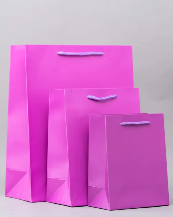 Plain Gift Bags – Premium Packaging Solutions Nairobi KSh 60 – KSh 140 Credible Point