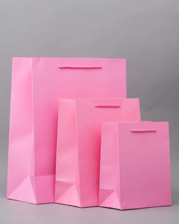 Plain Gift Bags – Premium Packaging Solutions Nairobi KSh 60 – KSh 140 Credible Point