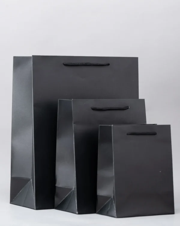 Plain Gift Bags – Premium Packaging Solutions Nairobi KSh 60 – KSh 140 Credible Point