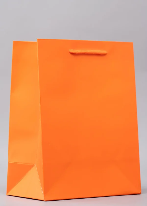 Plain Gift Bags – Premium Packaging Solutions Nairobi KSh 60 – KSh 140 Credible Point