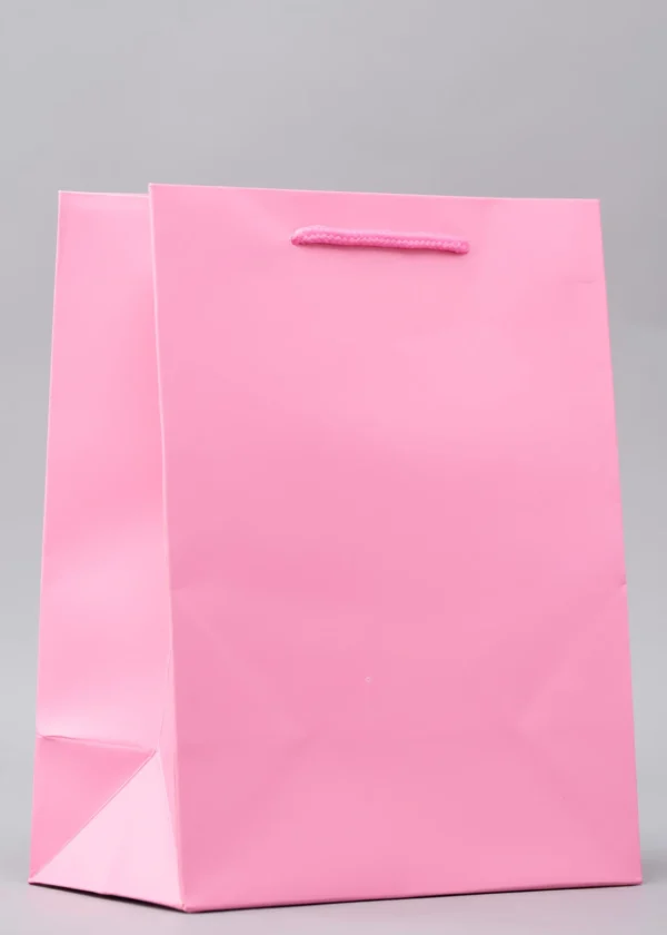 Plain Gift Bags – Premium Packaging Solutions Nairobi KSh 60 – KSh 140 Credible Point