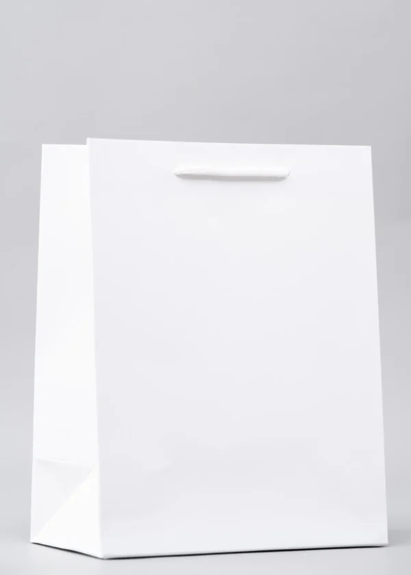 Plain Gift Bags – Premium Packaging Solutions Nairobi KSh 60 – KSh 140 Credible Point