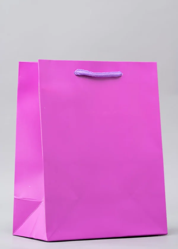 Plain Gift Bags – Premium Packaging Solutions Nairobi KSh 60 – KSh 140 Credible Point