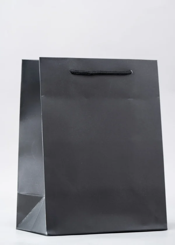 Plain Gift Bags – Premium Packaging Solutions Nairobi KSh 60 – KSh 140 Credible Point