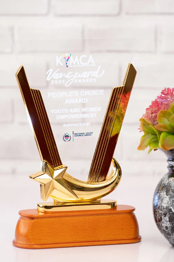 V-Shape Executive Award Premium Glass Modern Finish Nairobi | Call / WhatsApp 0119383838 | Credible Point