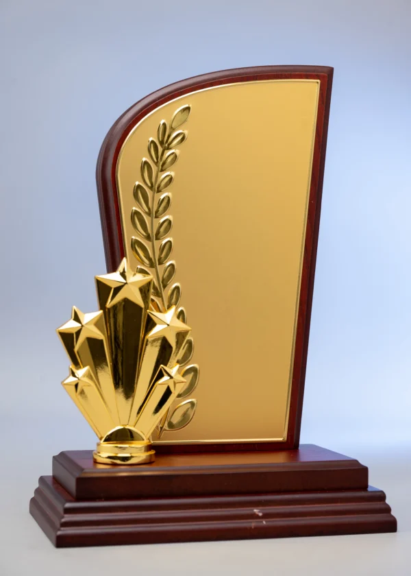 Victory Thumbs-Up Award Gold Silver Shield Wooden Trophy Nairobi Call WhatsApp 0119383838 Credible Point
