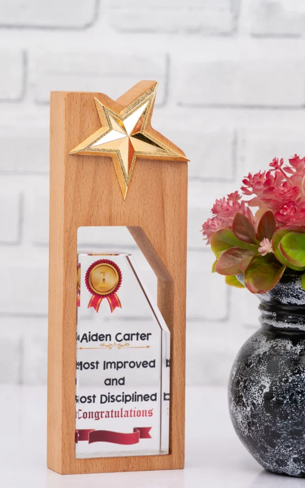 Wooden Glass Combination Award 24cm 12.5x7cm Print Nairobi Call WhatsApp 0119383838 Credible Point