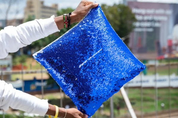 Affordable Sequin Pillow Cases Nairobi | Call / WhatsApp 0119383838 | Credible Point