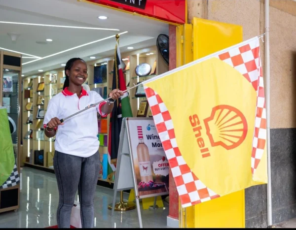 1.6m Telescopic Hand-Held Flag Poles Extendable Collapsible Nairobi Call WhatsApp 0119383838 Credible Point