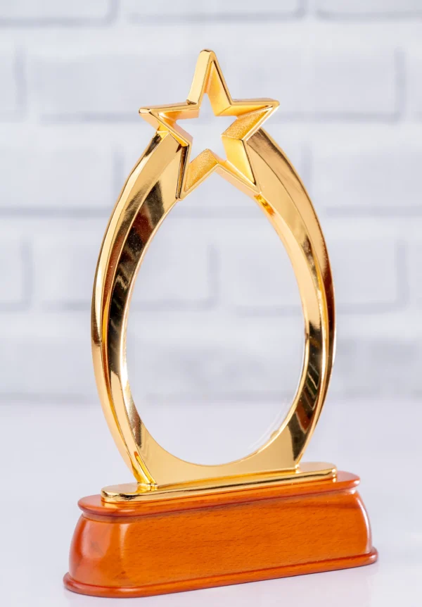 Golden Star Award Trophy Oval Metal Frame Glass Branding Nairobi Call WhatsApp 0119383838 Credible Point