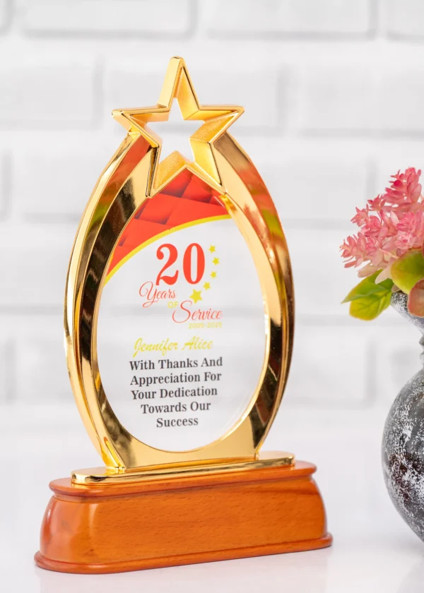 Golden Star Award Trophy Oval Metal Frame Glass Branding Nairobi Call WhatsApp 0119383838 Credible Point