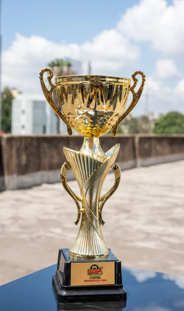 Golden Tournament Trophy SL 219 29.5cm Gold Winner Award Nairobi Call WhatsApp 0119383838 Credible Point