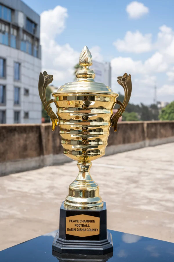 Grand Excellence Trophy SL 2279 45cm Executive Award Nairobi Call WhatsApp 0119383838 Credible Point