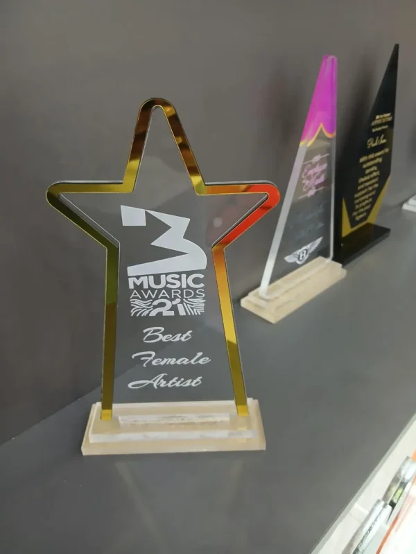 Star Shaped Acrylic Award Nairobi Call WhatsApp 0119383838 Credible Point