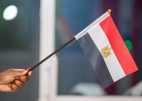 Custom FIFA World Cup handheld flags in Nairobi Kenya by Credible Point Egypt