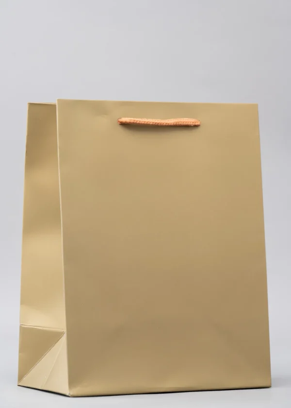 Plain Gold Gift Bags – Premium Packaging Solutions Nairobi KSh 60 – KSh 140 Credible Point