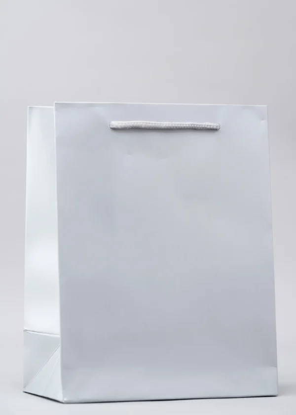 Plain Silver Gift Bags – Premium Packaging Solutions Nairobi KSh 60 – KSh 140 Credible Point
